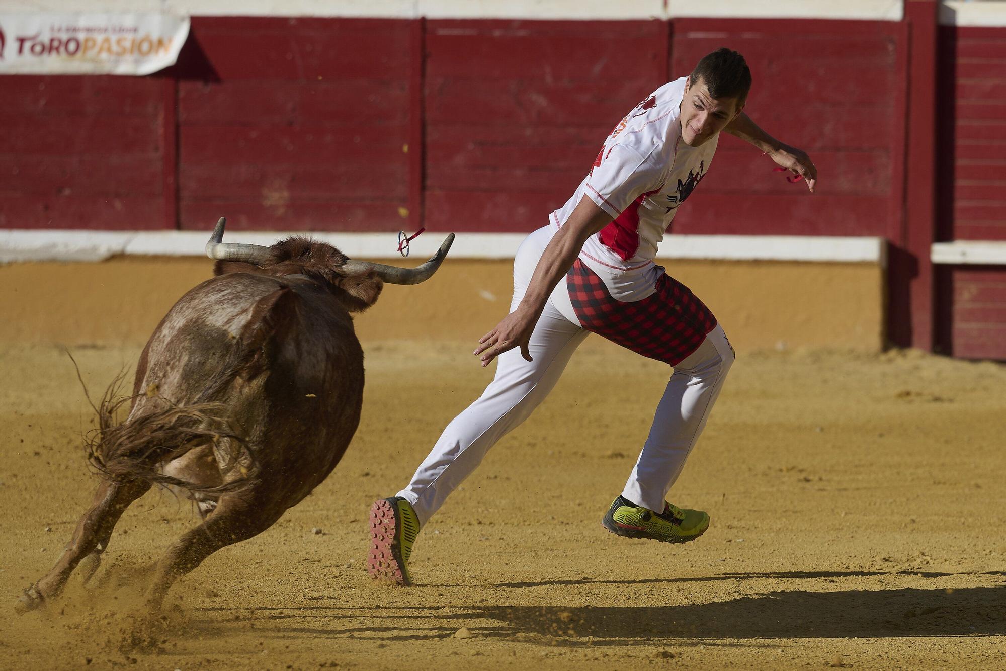 Concurso de recortadores con anillas