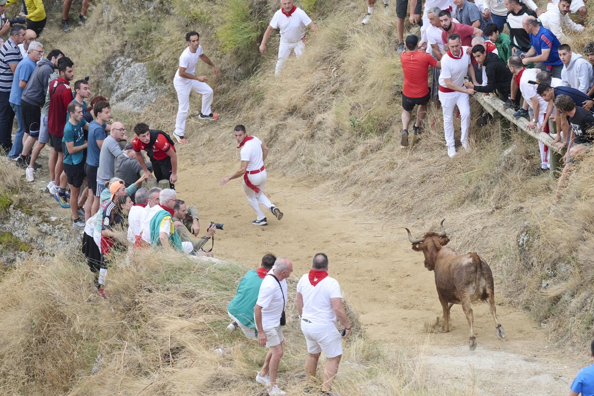 Fotos del tercer encierro del Pilón de Falces 2025