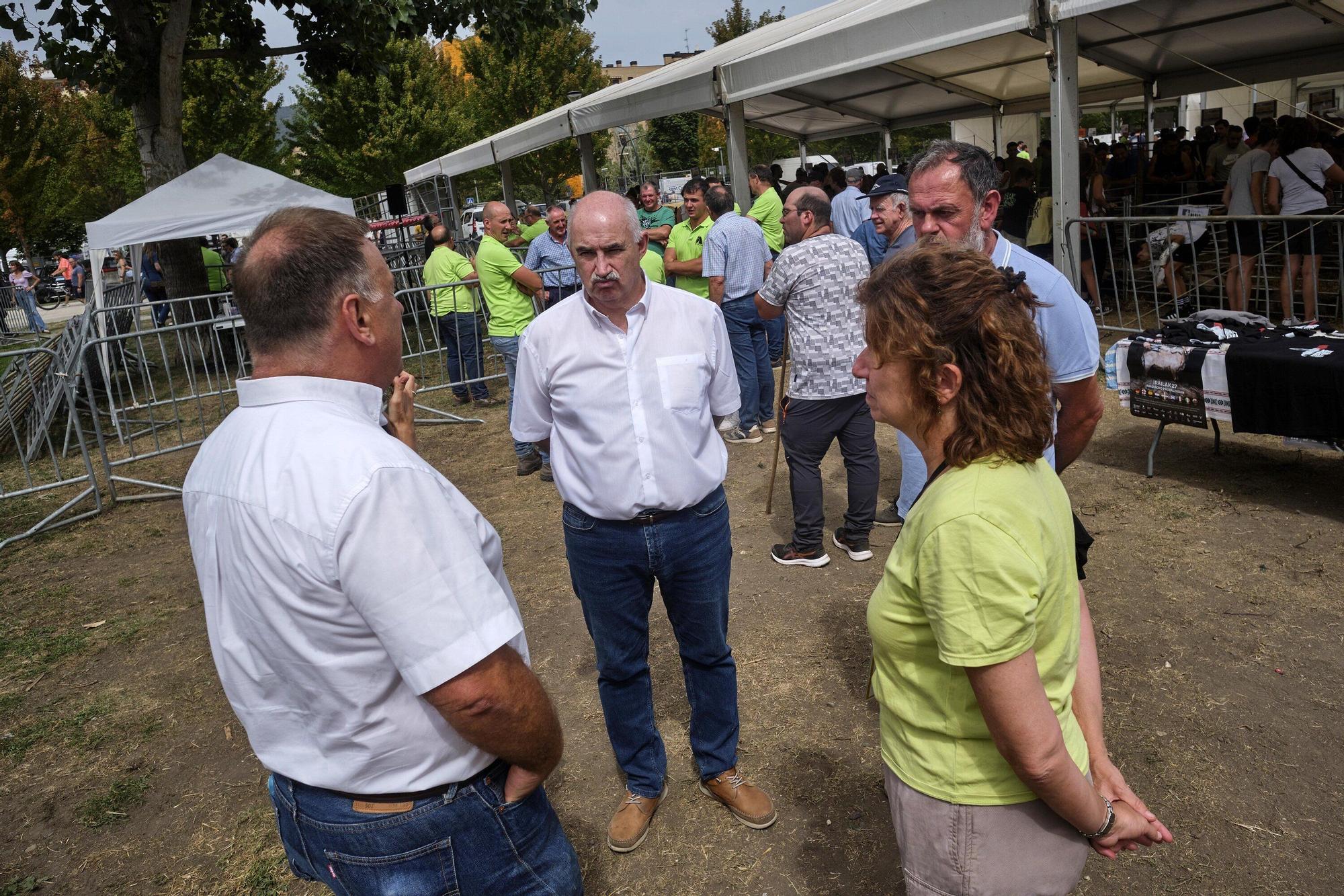 Fotos de la feria de ganado autóctono este sábado en Pamplona