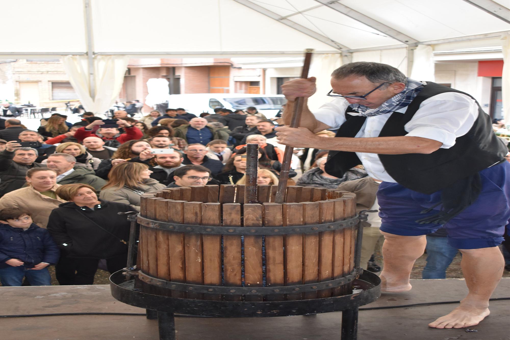 Fotos de las fiestas de San Gregorio 2025 en Azagra