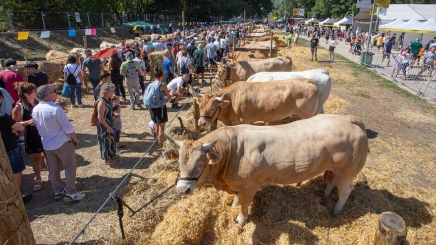 La feria de ganado Autentika vuelve al parque del Runa en Pamplona