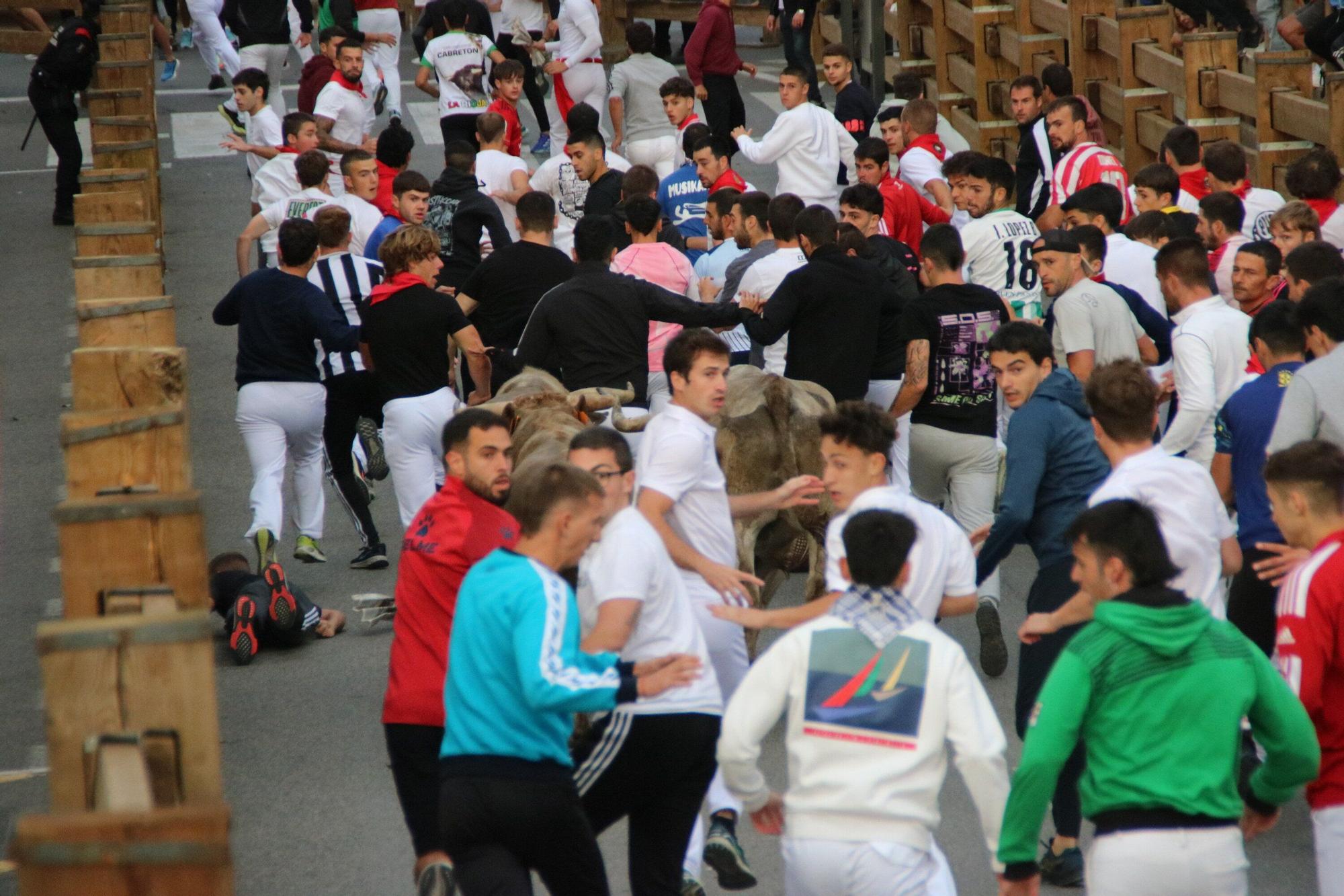 Fotos del sexto y último encierro de las fiestas de Tudela 2025