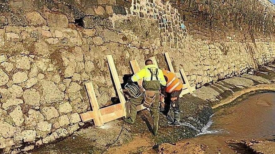 El Ayuntamiento desmantela el vertedero ilegal de Loiola y ordena limpiar el de Martutene