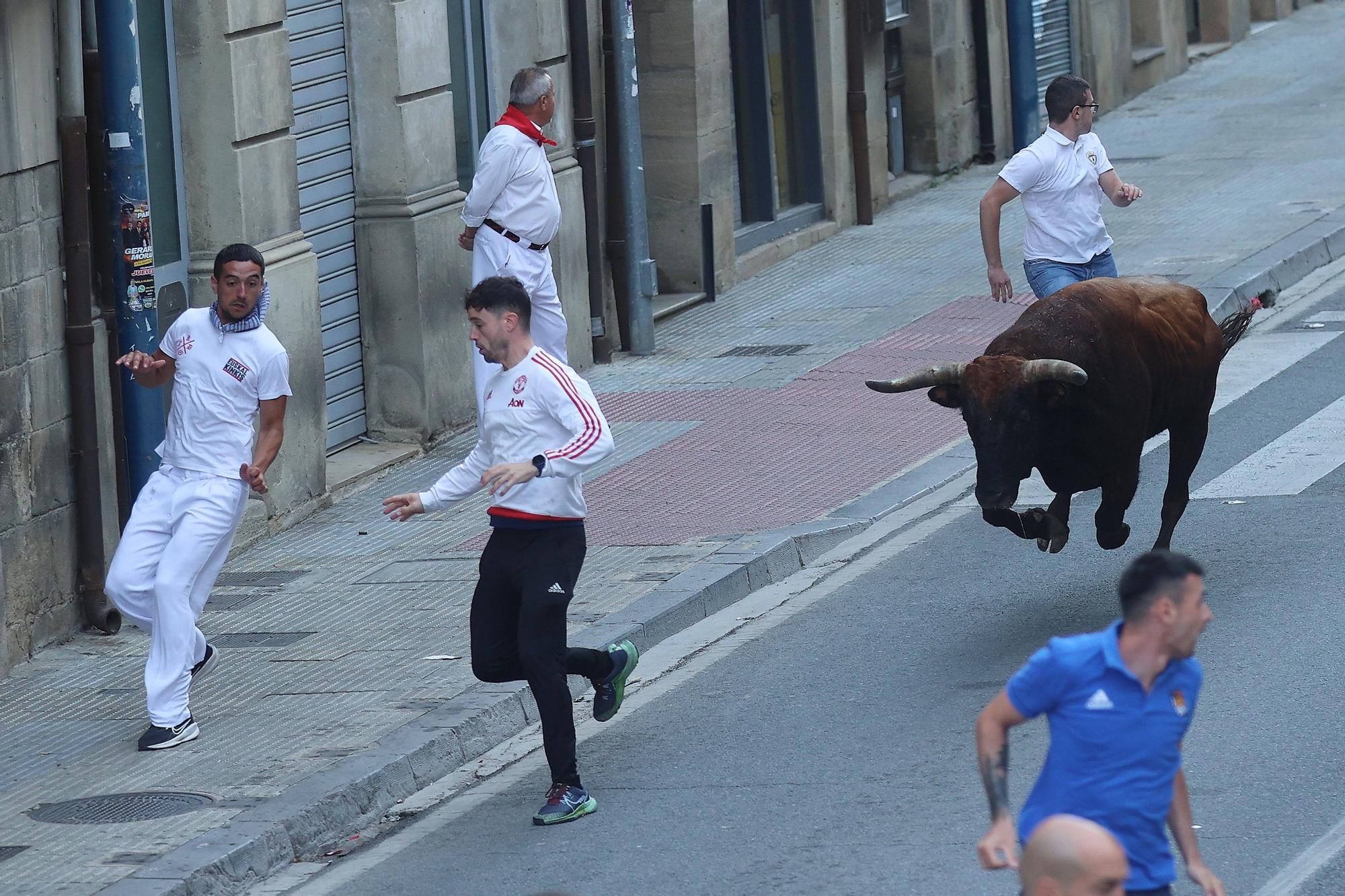 Fotos del quinto encierro de las fiestas de Tafalla 2025