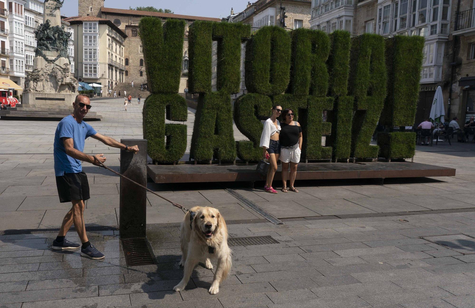 En imágenes: Vitoria sufre los estragos de la ola de calor