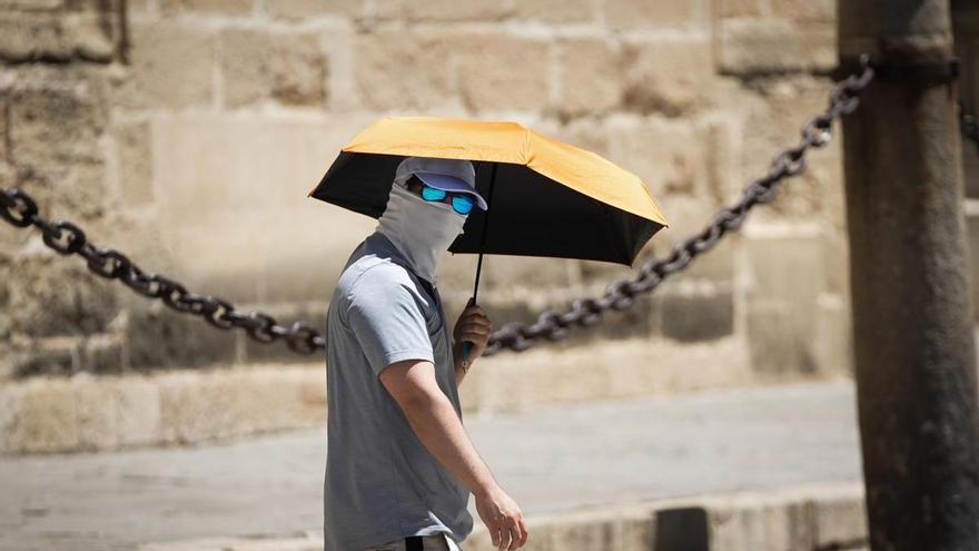 La Aemet predice un verano “más cálido de lo normal” tras un año de récords climáticos
