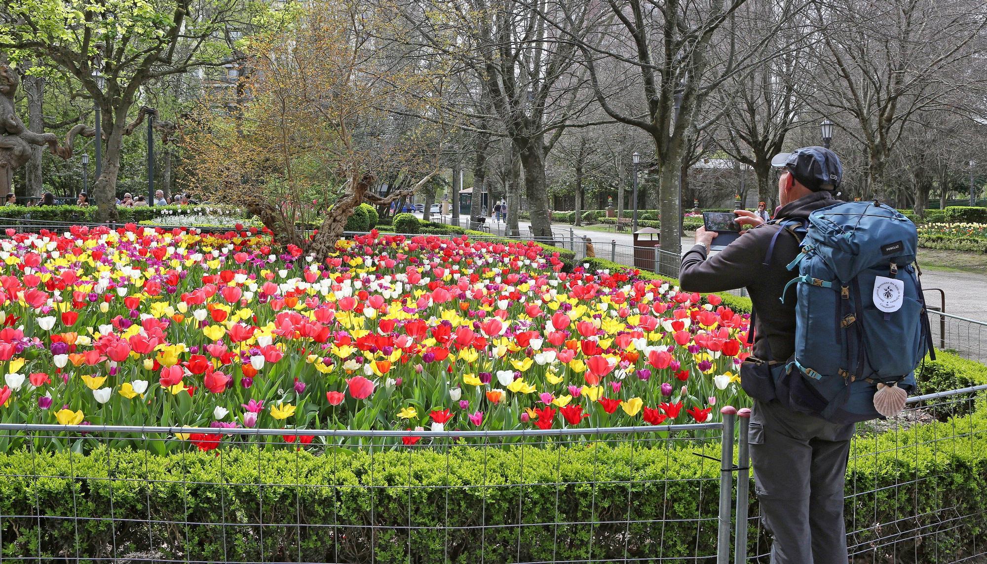 Fotos del calendario 2026 de DIARIO DE NOTICIAS