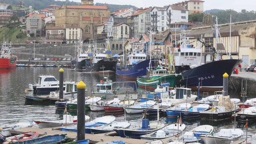 Normativa de amarres: ¿diálogo o apariencia?