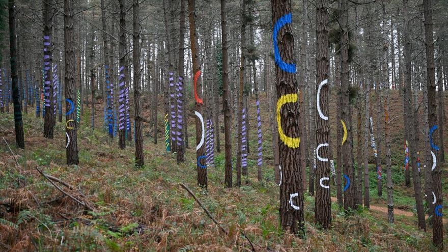 Bizkaia, la escapada perfecta: naturaleza, cultura y gastronomía