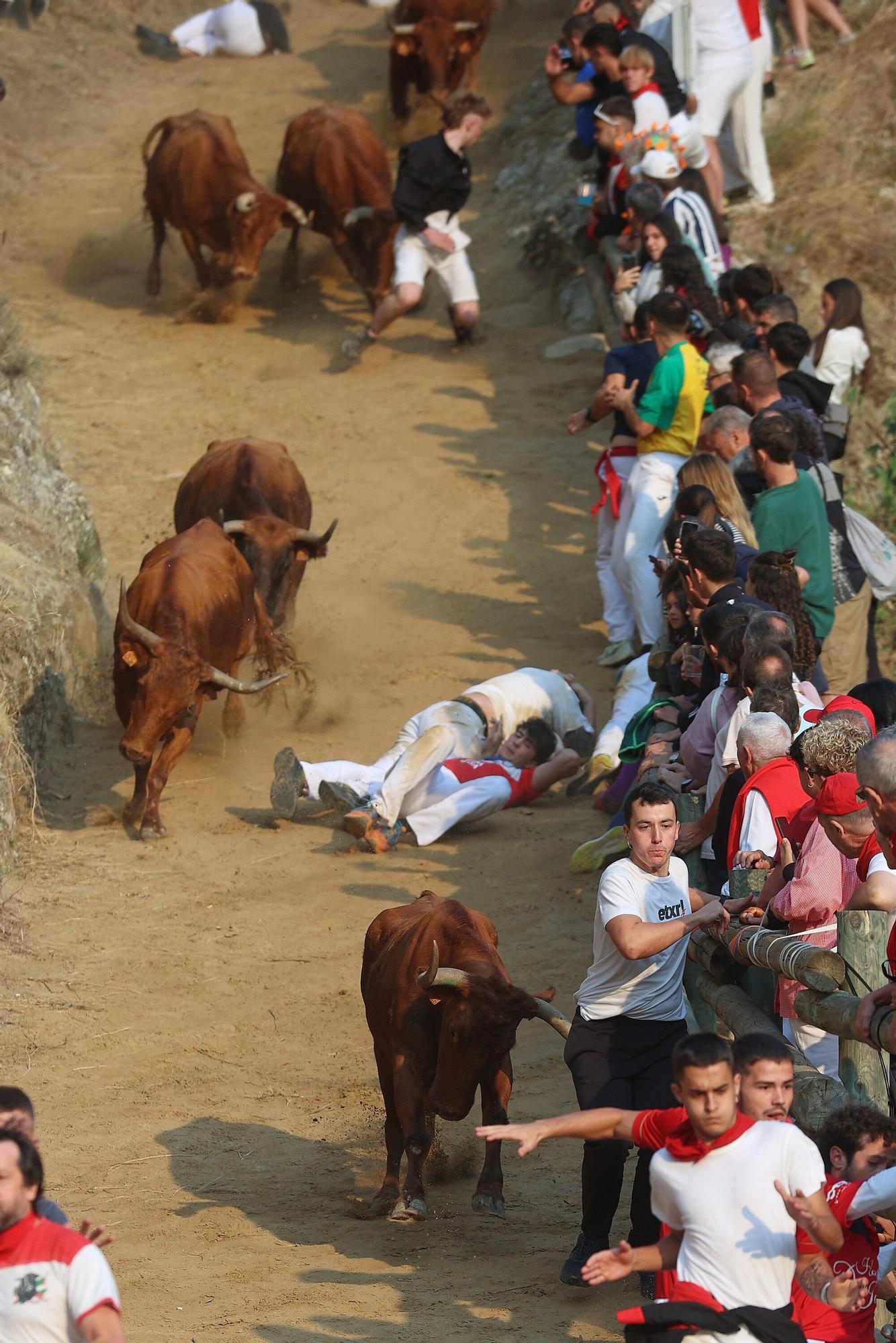 Fotos del cuarto encierro del Pilón de Falces 2025