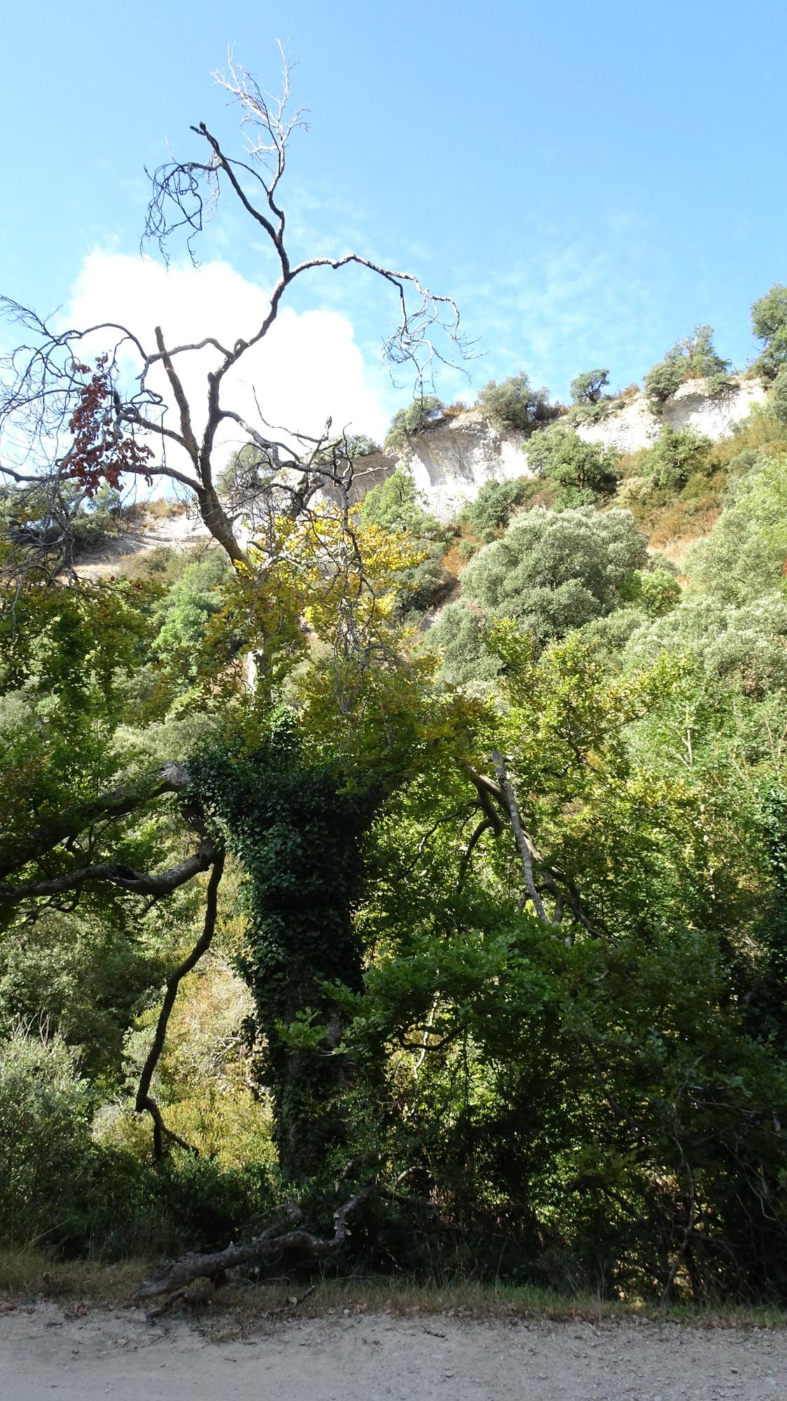 Cañón del Iranzu
