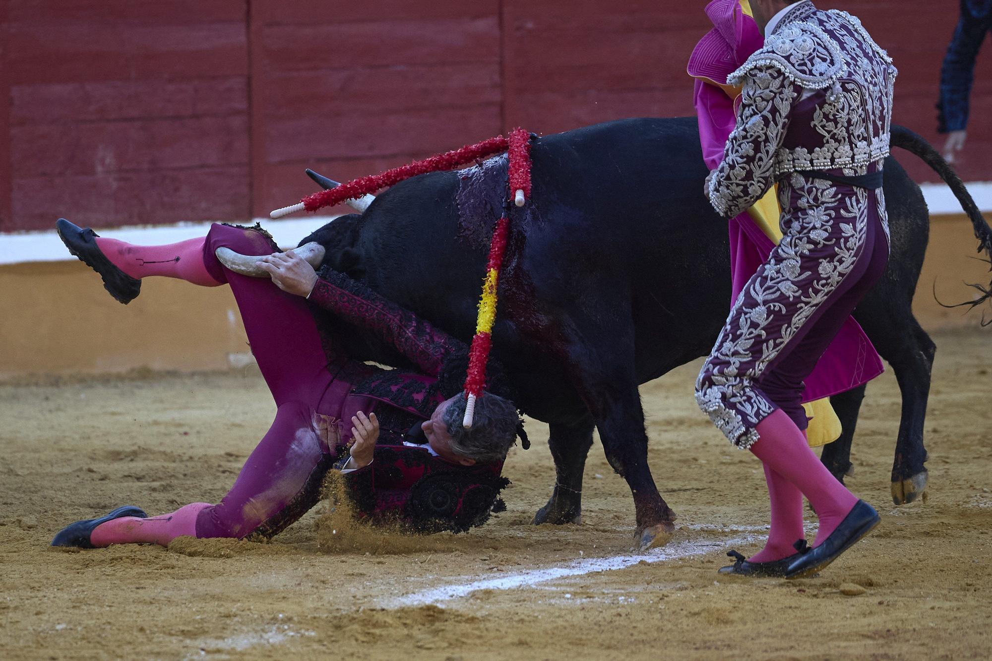 Fotos de la corrida de toros en Tudela con toros de Garzón Valdenebro