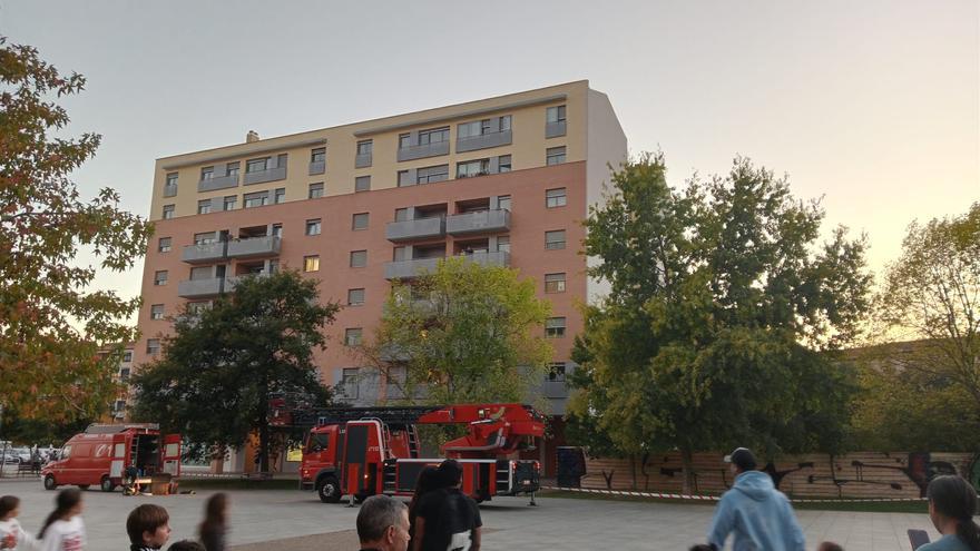 Así retiran los bomberos un nido de avispa asiática en un barrio de Pamplona