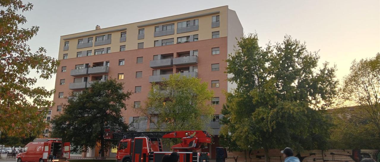 Así retiran los bomberos un nido de avispa asiática en un barrio de Pamplona
