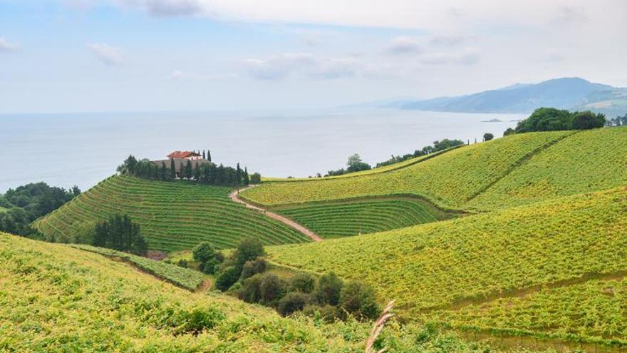 NEIKERek soluzioak eskaintzen dizkio mahastizaintzaren eta ardogintzaren sektoreari, mahastien jasangarritasuna hobetzeko