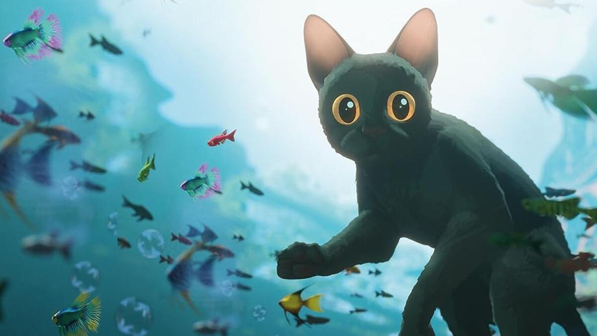 &#039;Flow. Un mundo por salvar&#039;, ganadora de un Oscar, forma parte del ciclo.