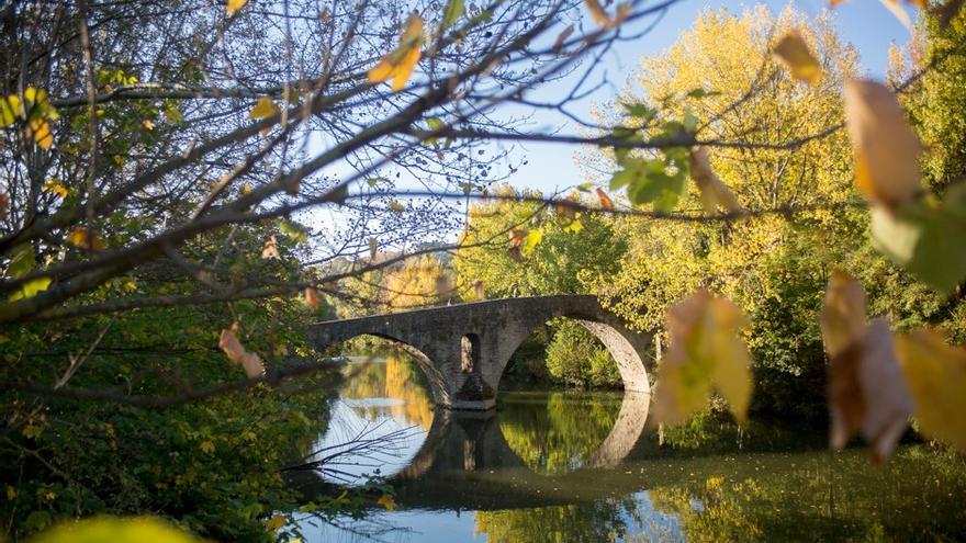Pamplona eliminará 73 ejemplares de seis especies vegetales invasoras de las orillas de sus ríos para preservar la biodiversidad
