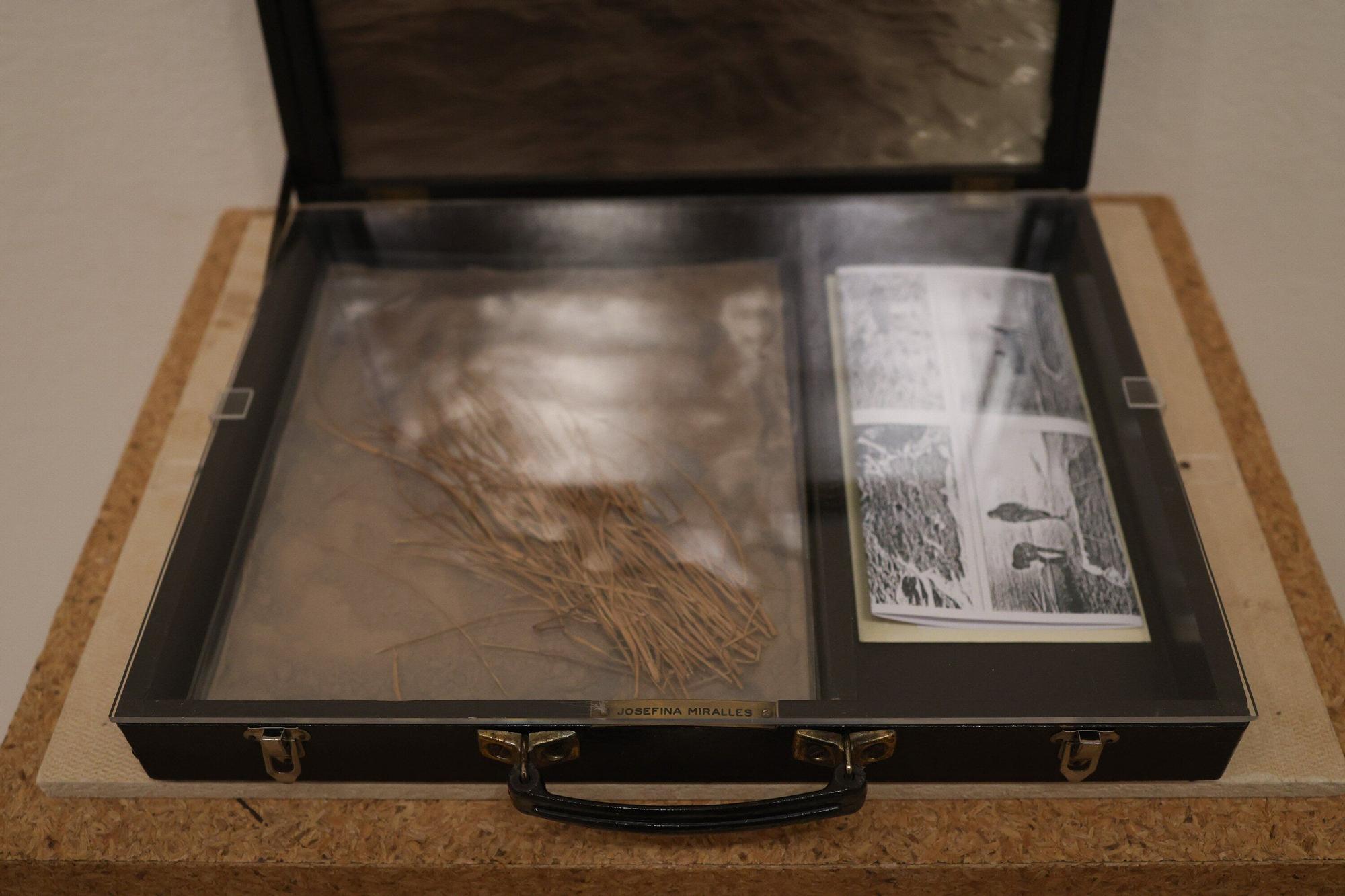 Arte y tierra, nueva exposición del Guggenheim