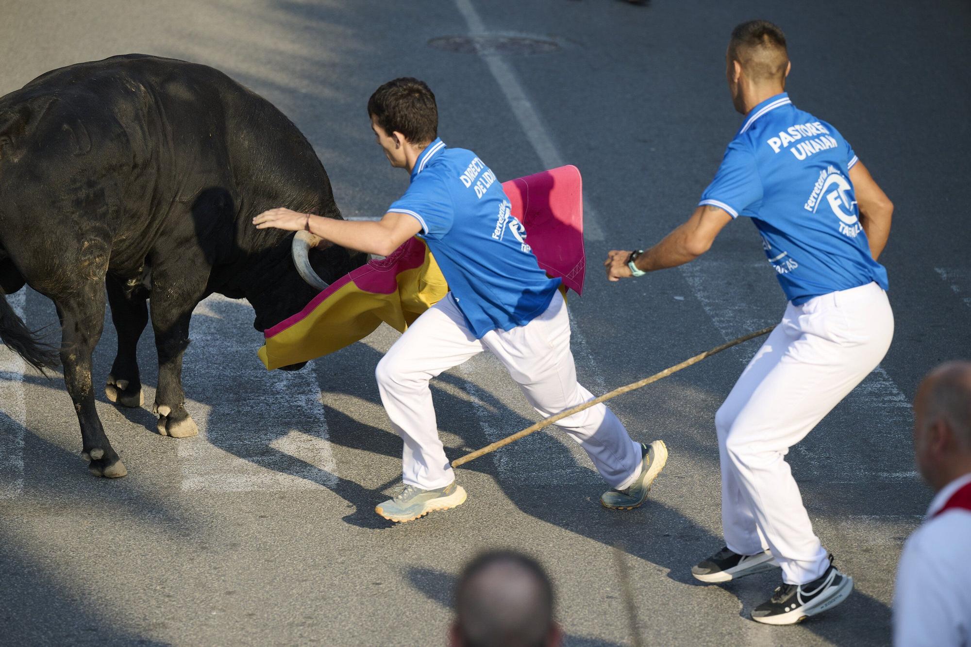 Fotos del primer encierro de fiestas de Tafalla