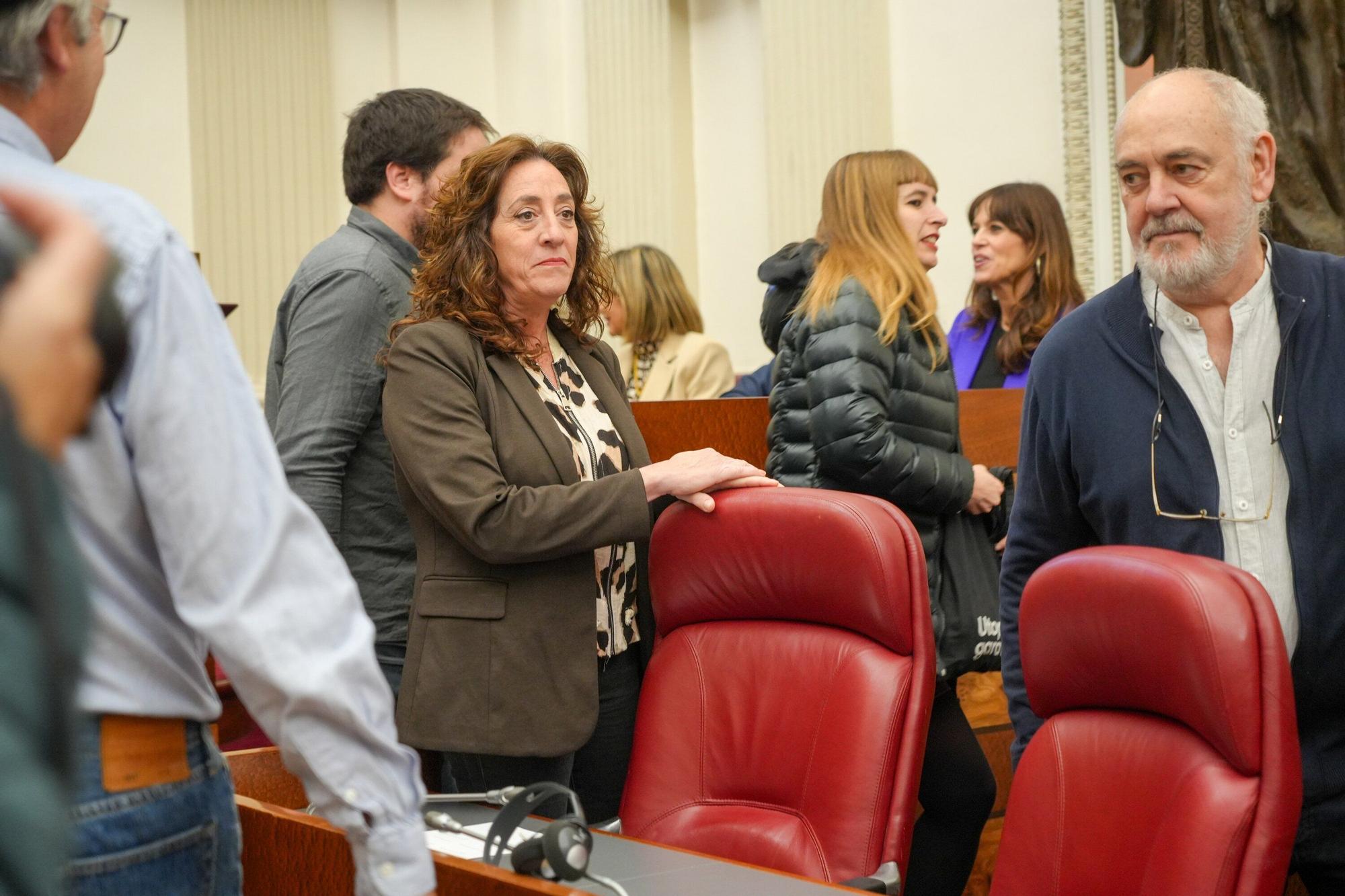 En imágenes: Pleno Tradicional de noviembre de Juntas Generales