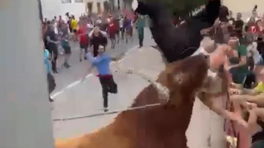Vídeo de la cornada a una joven en el toro ensogado de Lodosa