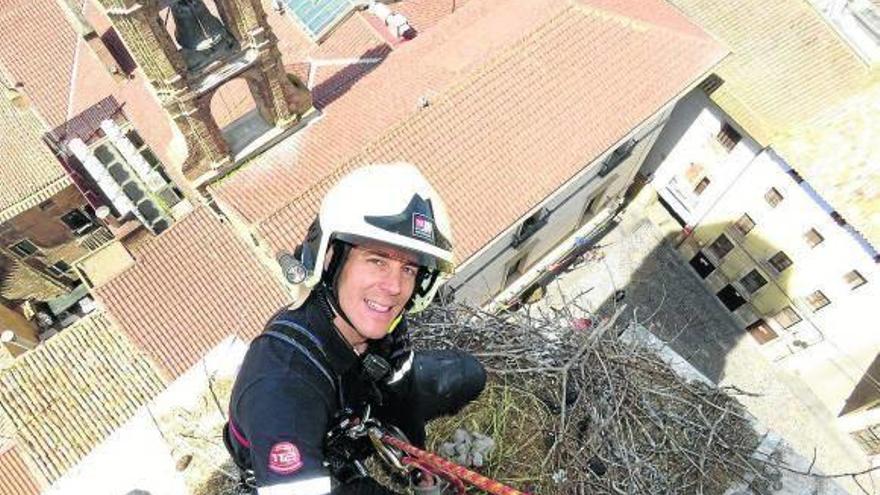 Retirado un nido de cigüeña de la catedral de Tudela
