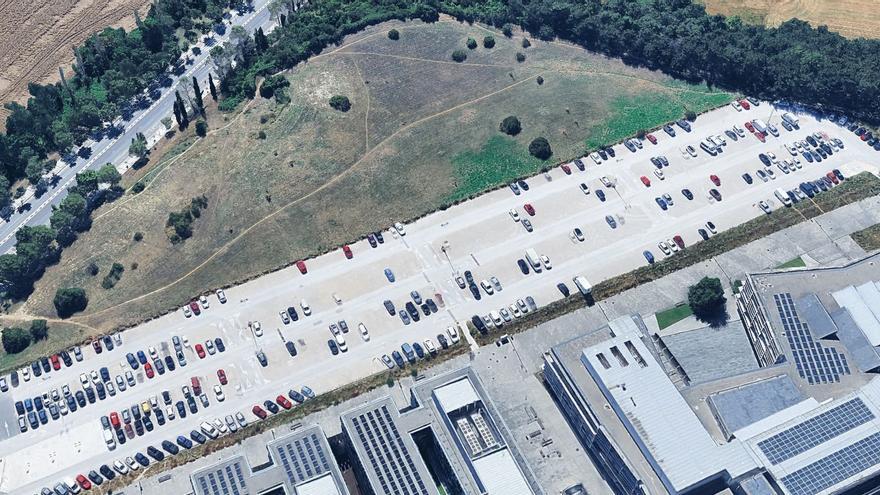 Reforestación en Pamplona: nuevos oasis verdes en Ezkaba y Mendebaldea