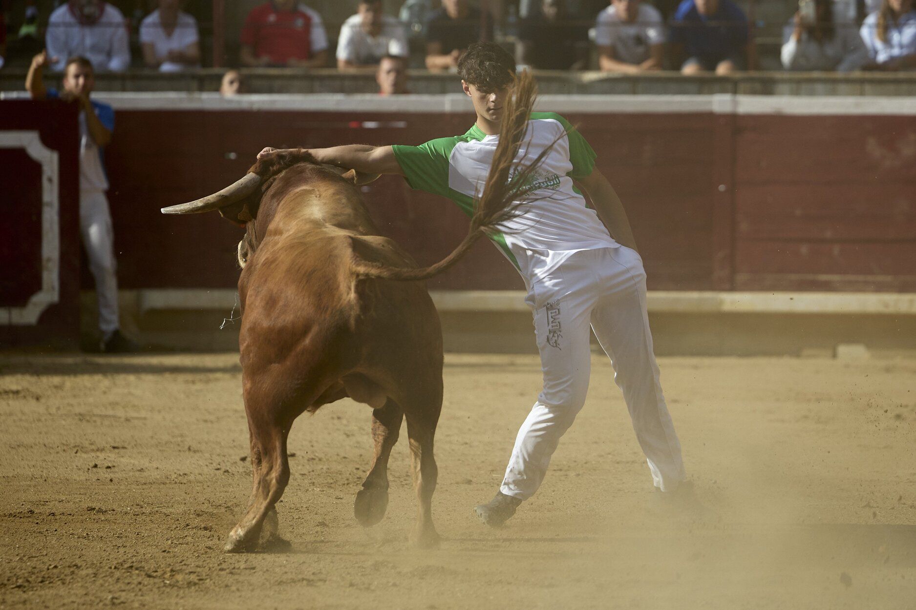 Fotos del concurso de recortadores de fiestas de Tafalla