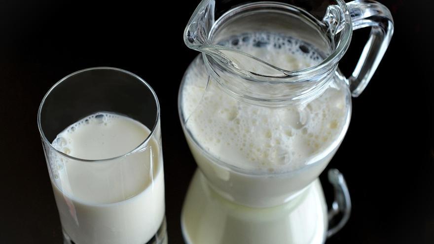 Consultorio de nutrición | ¿Es verdad que la leche es mala y crea mucosidad?