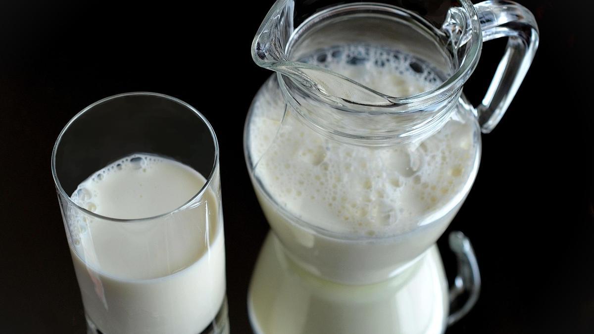 La leche aporta beneficios nutricionales, pero en algunas personas puede causar digestiones difíciles.