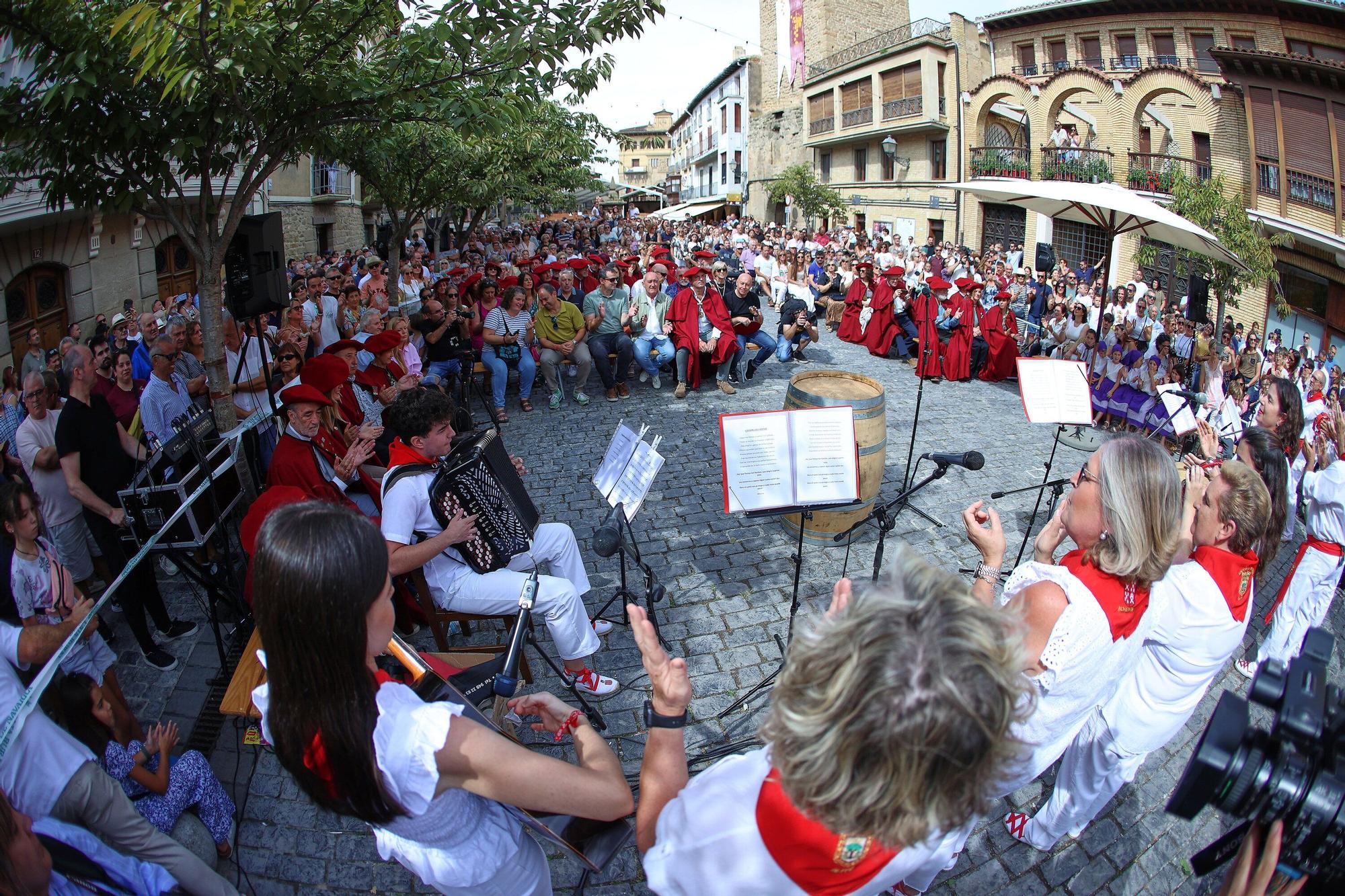 Fotos de la Fiesta de la Vendimia 2025 en Olite
