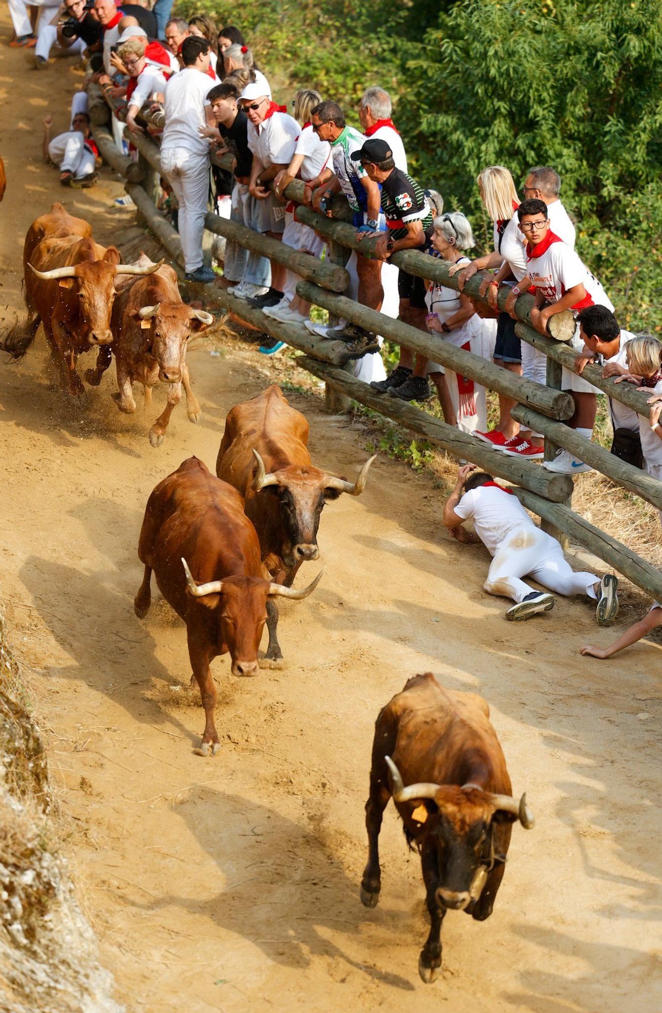 Fotos del segundo encierro del Pilón de Falces 2025