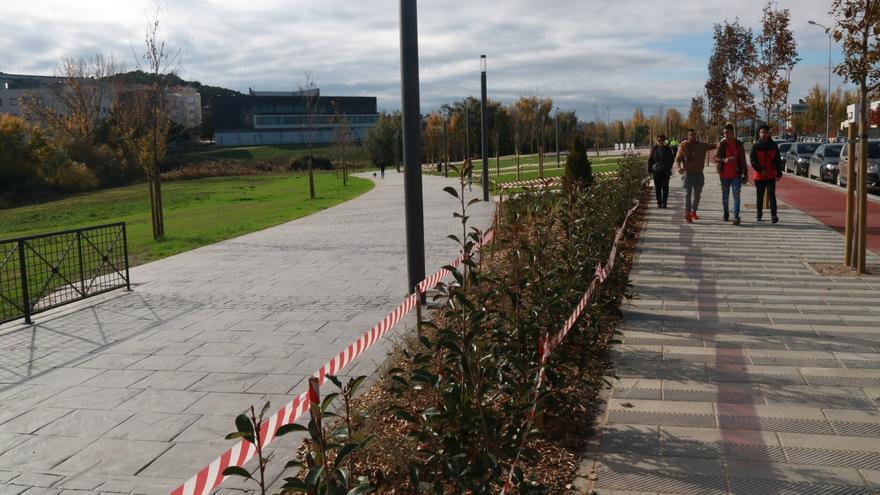 Tudela celebrará el Día del Árbol plantando 24 en el parque del Queiles