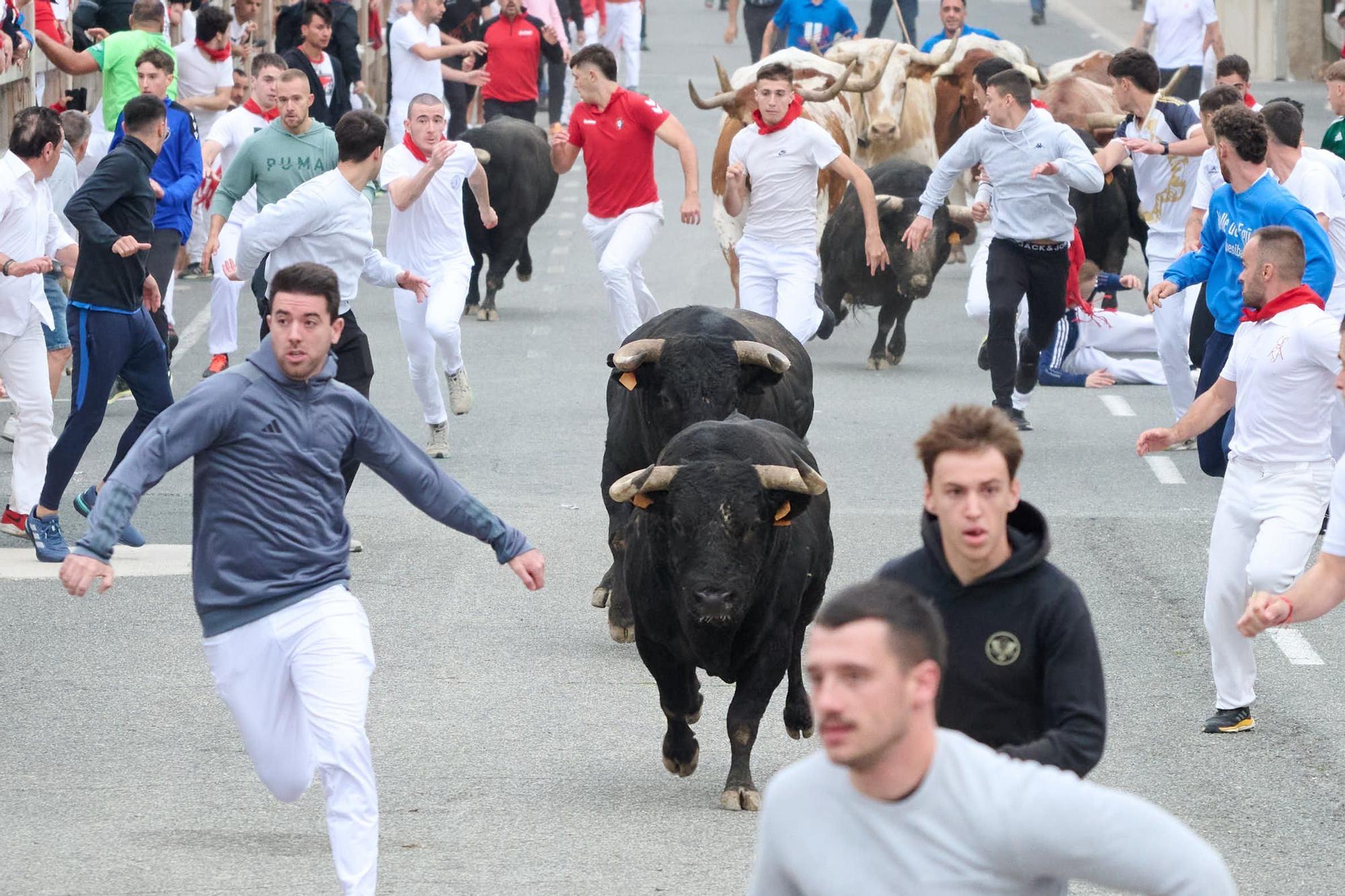 Fotos del segundo encierro de las fiestas de Sangüesa 2025