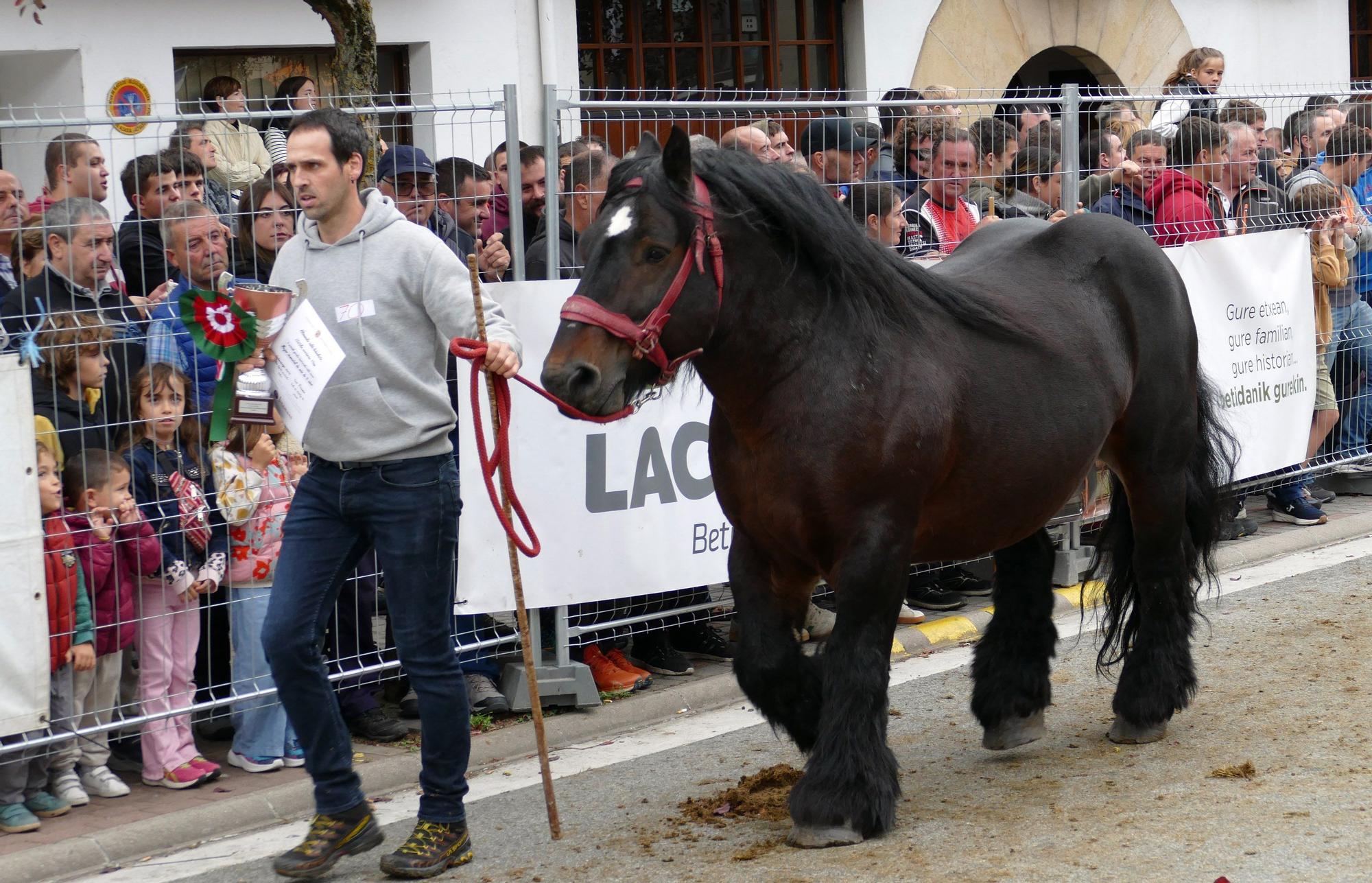 Fotos de las ferias de Altsasu este domingo