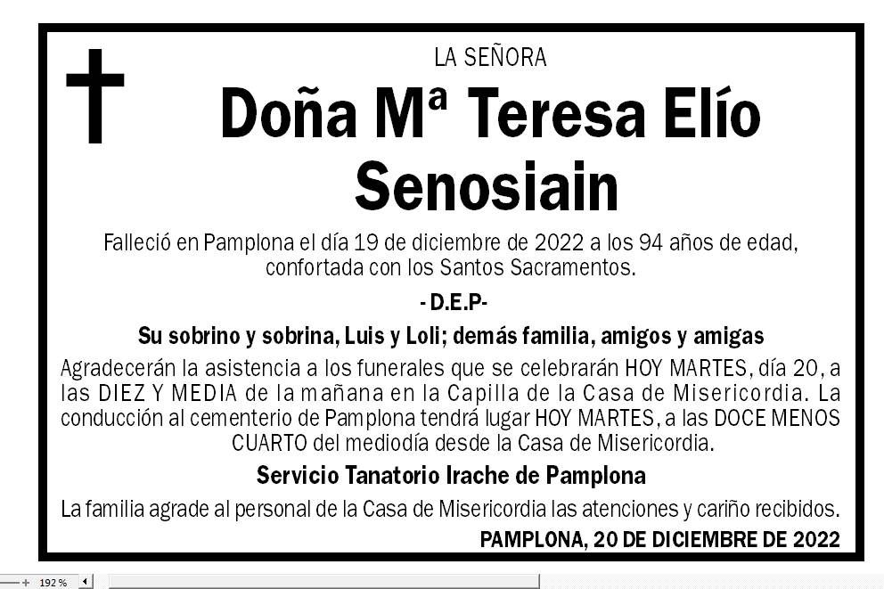 Mª Teresa Elío Senosiain