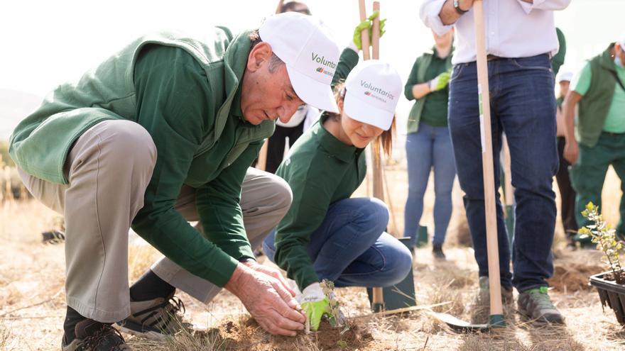 Iberdrola involucra a 7.000 voluntarios en iniciativas relacionadas con el medioambiente o la asistencia social