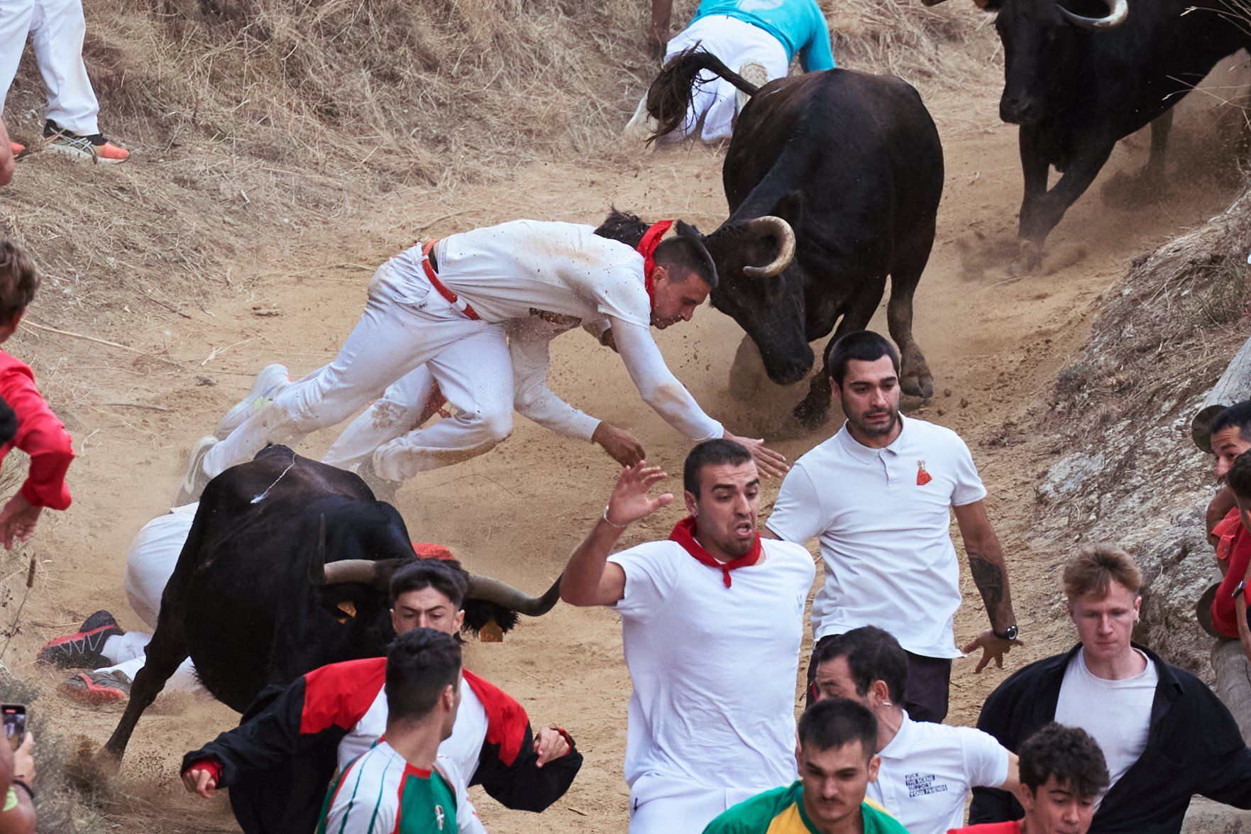 Fotos del tercer encierro del Pilón de Falces 2025