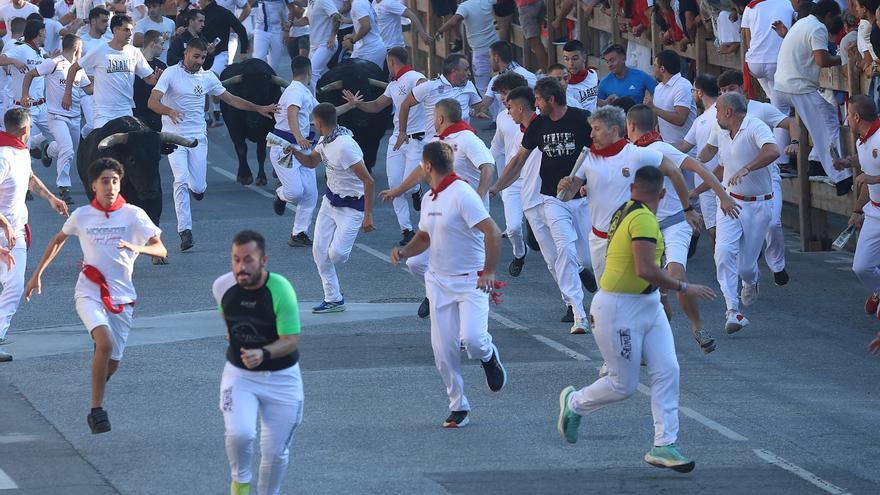 Fotos del tercer encierro de fiestas de Tafalla 2026