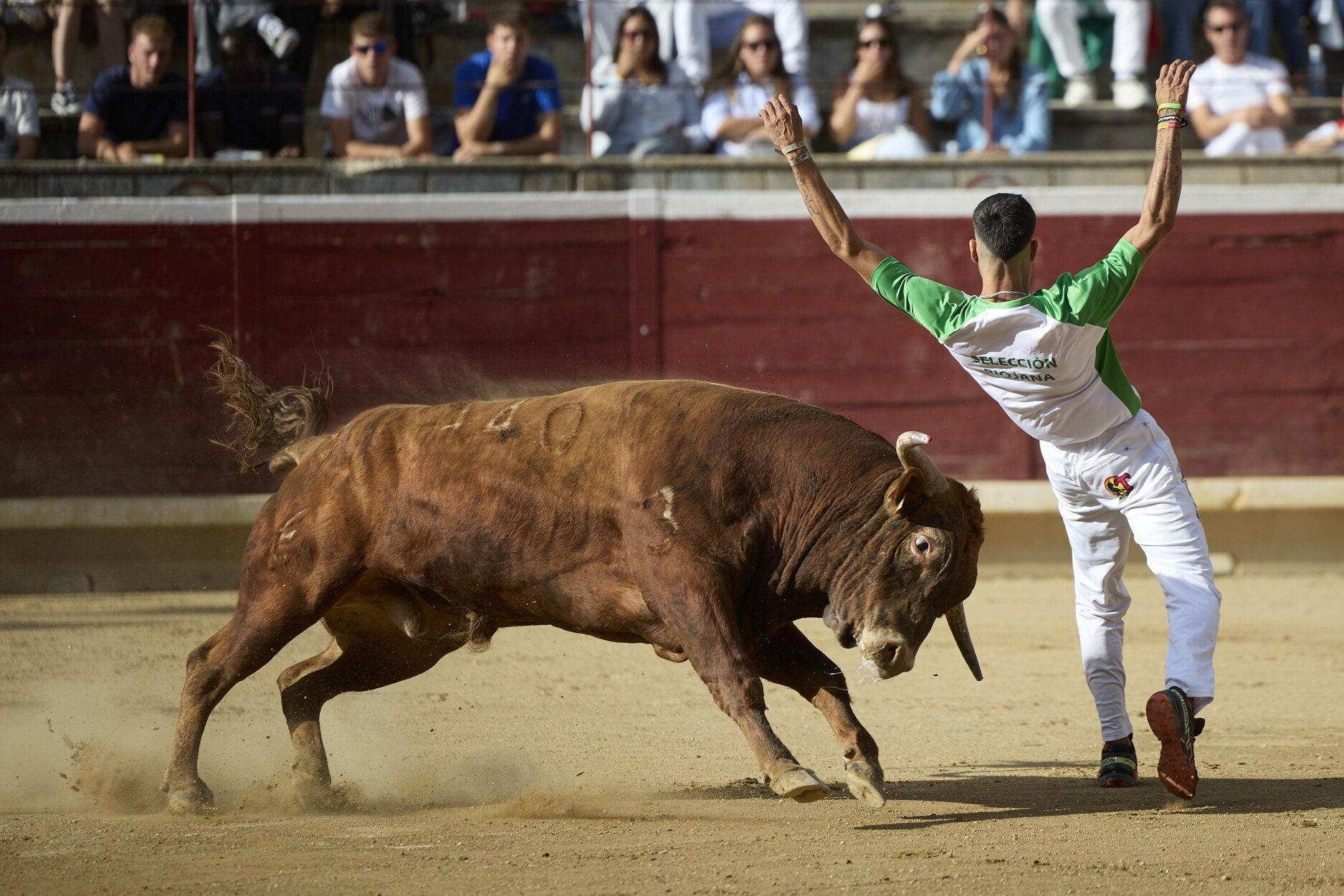 Fotos del concurso de recortadores de fiestas de Tafalla