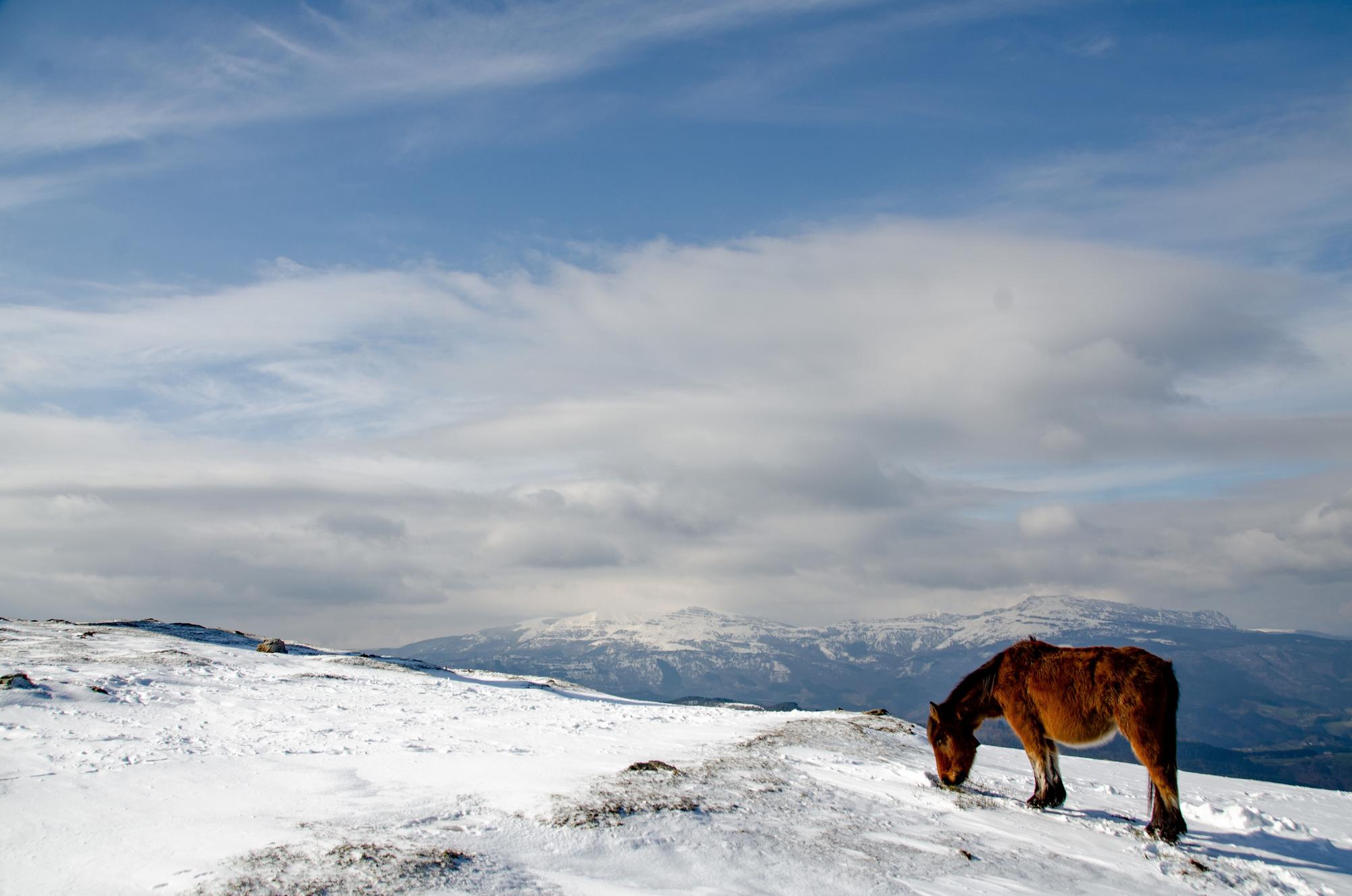 02FEBRERO_Adri�n Zubia-Monte Saibi.jpg
