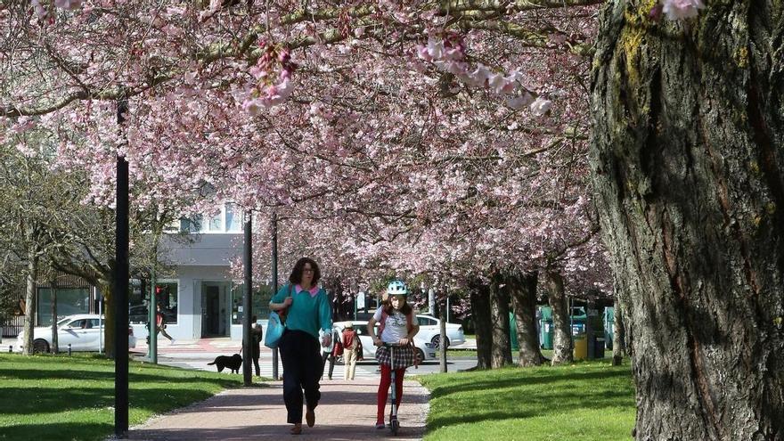 Hasta 6 grados más de lo normal: las cifras de un abril extremadamente cálido en Navarra