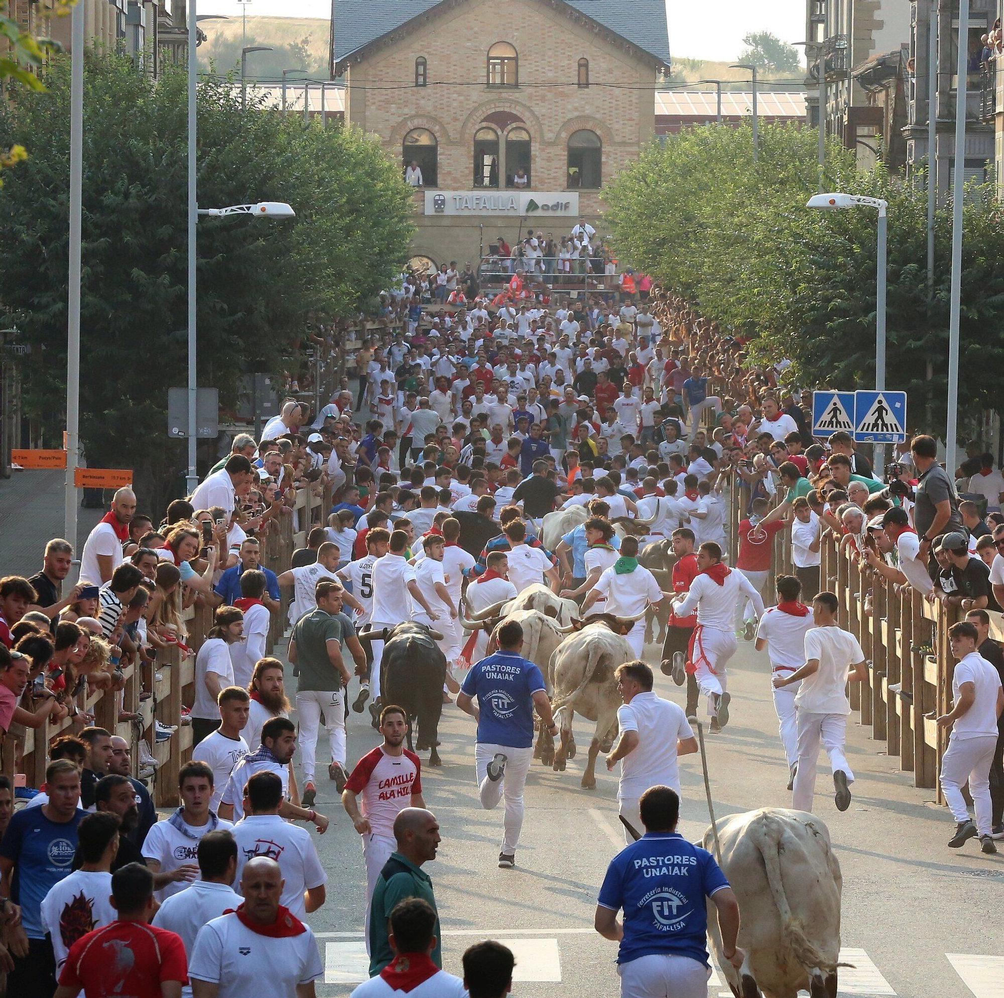 Fotos del segundo encierro de fiestas de Tafalla 2025