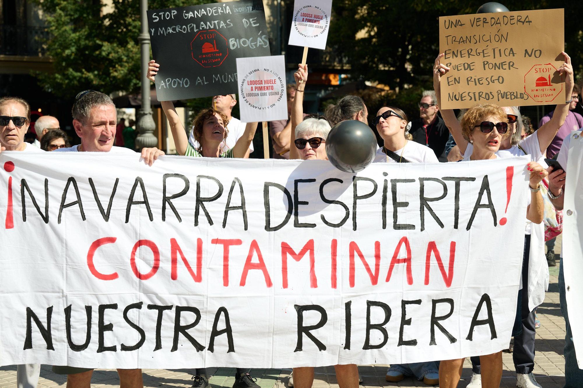 Concentración frente al Parlamento contra la central de biometano de Sesma