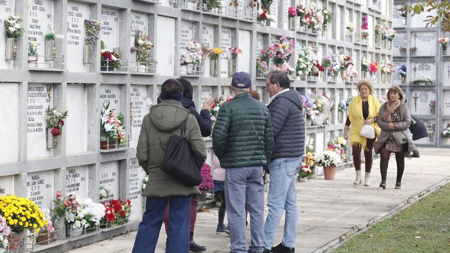 Plantean en Vitoria enterramientos naturales con el fin de que 'tumben' a los nichos de hormigón