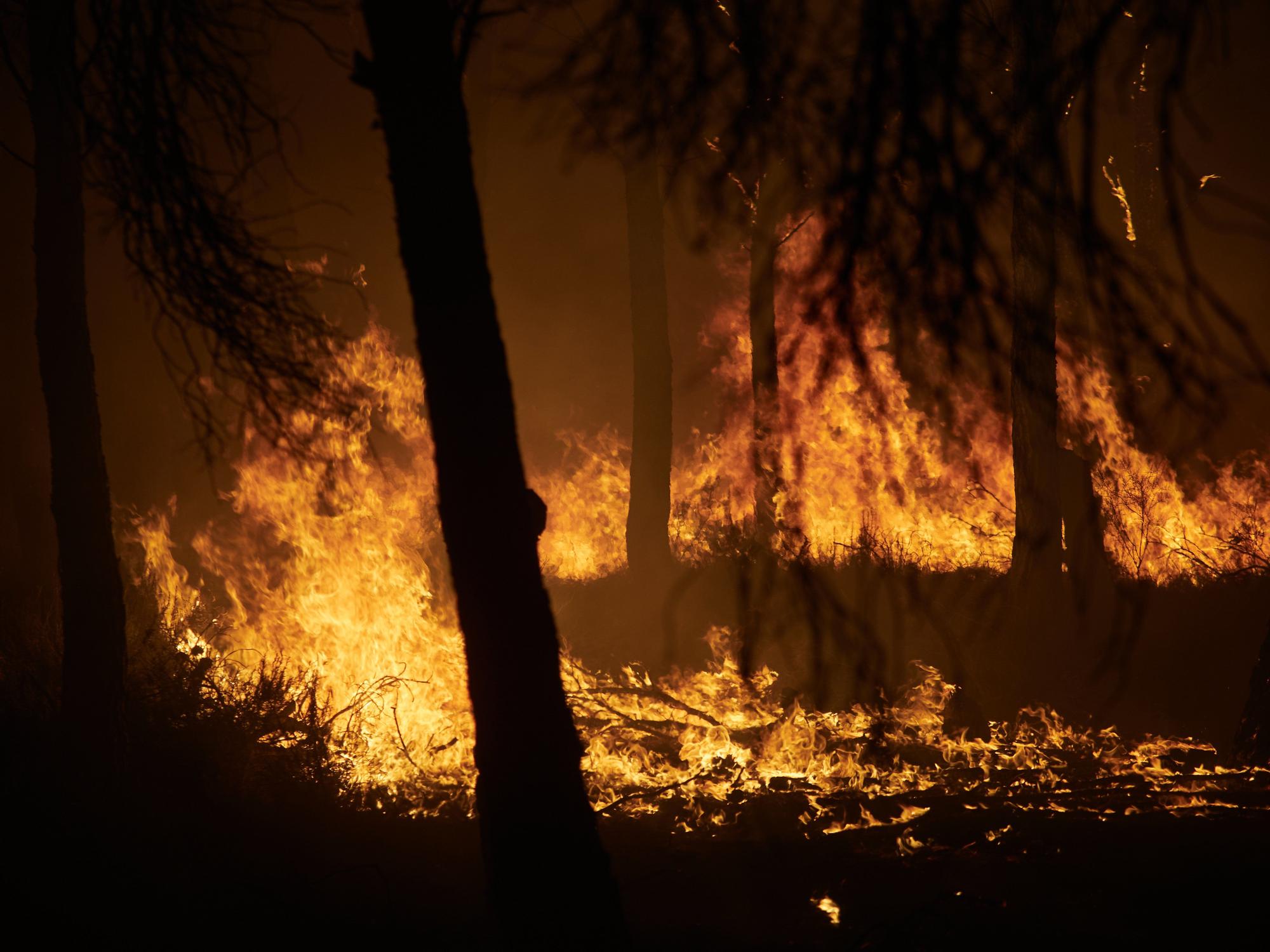 Fotos del incendio forestal cerca de Carcastillo