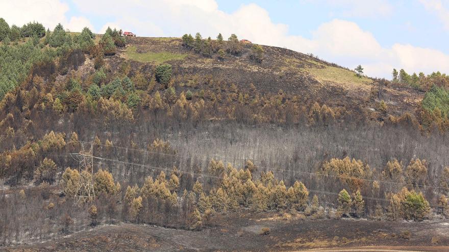 Estabilizado el incendio que ha obligado a desalojar viviendas en Gazólaz y ha afectado también a un pinar