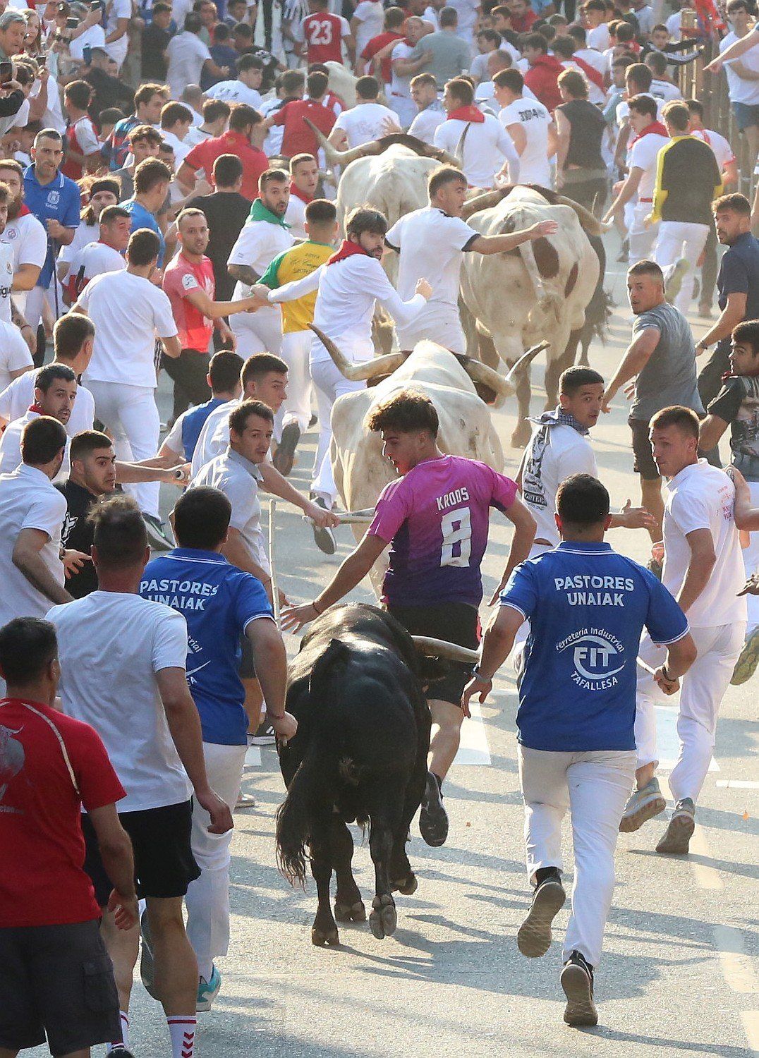 Fotos del primer encierro de fiestas de Tafalla