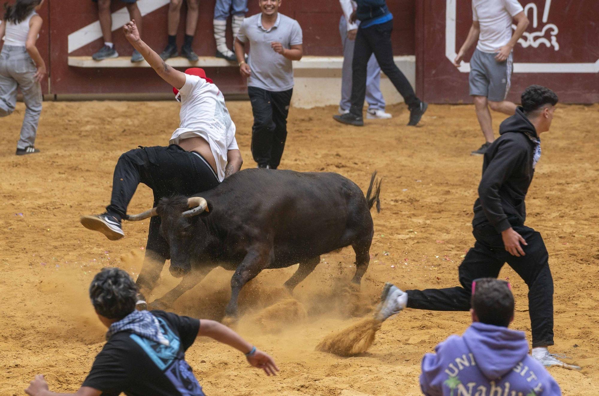 Eb imágenes: Las vaquillas reinan en el Iradier Arena