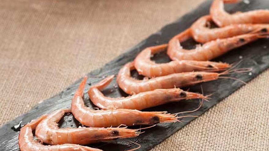 Freskue: cuando el mar llega a tu mesa y transforma tu hogar